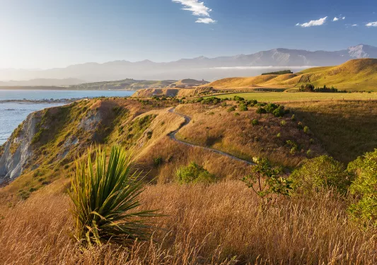 Open valley with a narrow road cutting through it