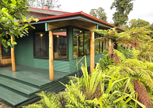 Entrance to a green building, surrounded by tall plants and trees