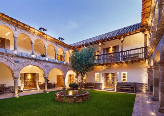 tree in the middle of a courtyard