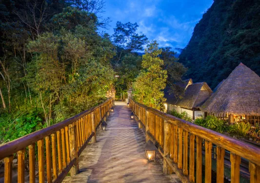 wood walkway with railing into the trees