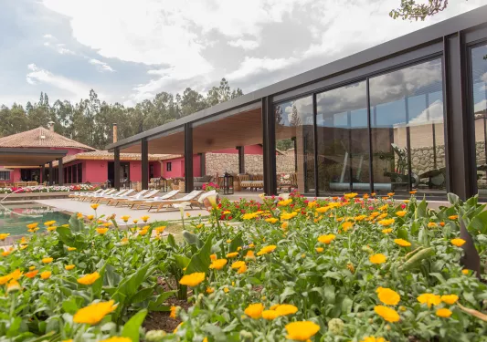 lounge chairs by the pool surrounded by flower beds