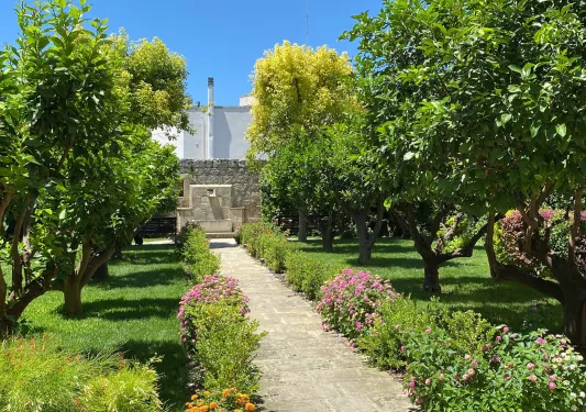 stone walkway surrounded by shrubs