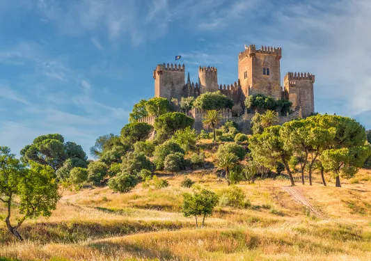 Castle-like buildings on a hill surrounded by large trees