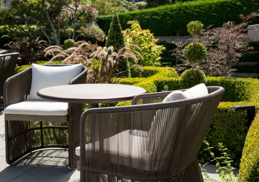 two chairs in the garden