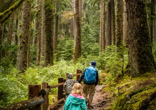 Man and two kids hiking in a forest with tall trees surrounding them