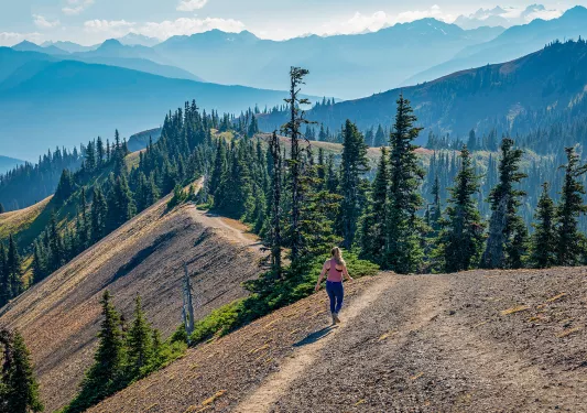 Woman walking on a dirt path on top of a hill, walking towards pine trees