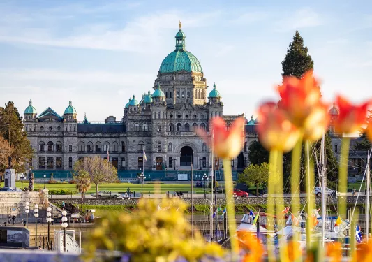 Wide exterior view of a castle-like building with tulip flowers close to the camera shot