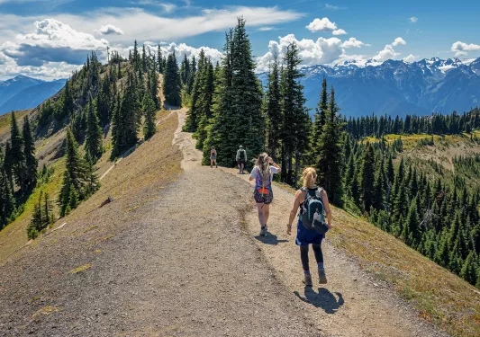 Four people with distance between them walking towards the peak of a hill