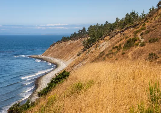 Hill next to a small coast by the ocean, covered in dried weeds