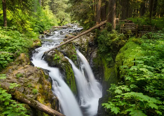 3 small waterfalls with a river in the middle of a forest