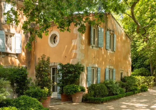 yellow house tucked in the trees