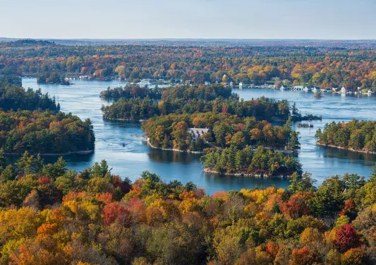 Small islands of trees scattered across a large lake