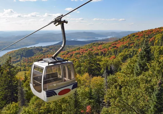 Electric gondola with and empty carrier