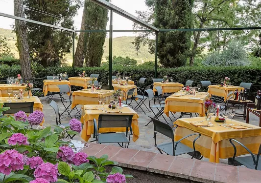 Outdoor dining patio with yellow tables, surrounded by tall trees