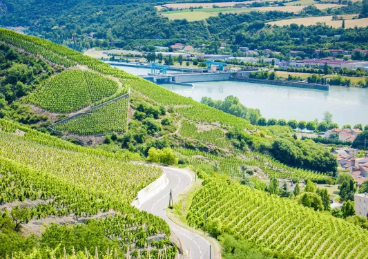 Long. curvy road cutting between crop fields on a hill