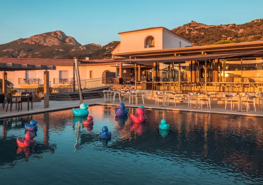 rubber ducks in hotel pool