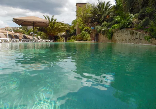 Outdoor pool surrounded by trees, umbrellas and chairs