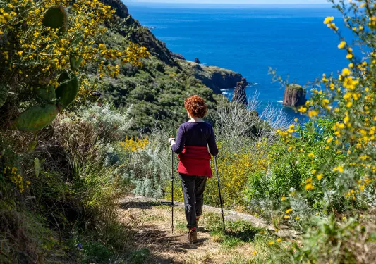 Woman with two hiking sticks overlooking the ocean