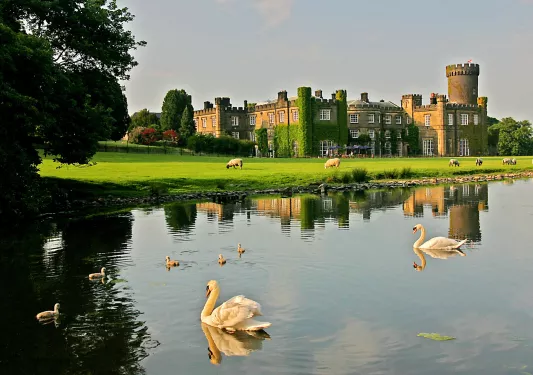 pond with swans outside of stone castle