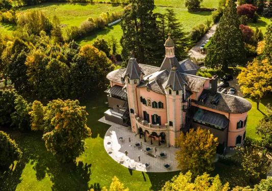 Top view of a castle-like building surrounded by tall trees