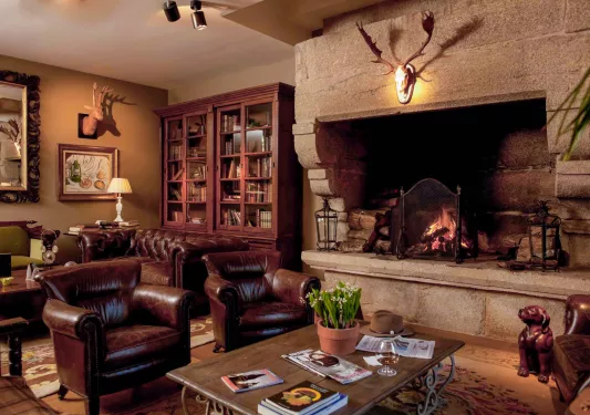 brown leather chairs next to fireplace