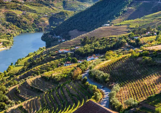 Sky view of an open valley of crop fields and trees, with a lake in the distance