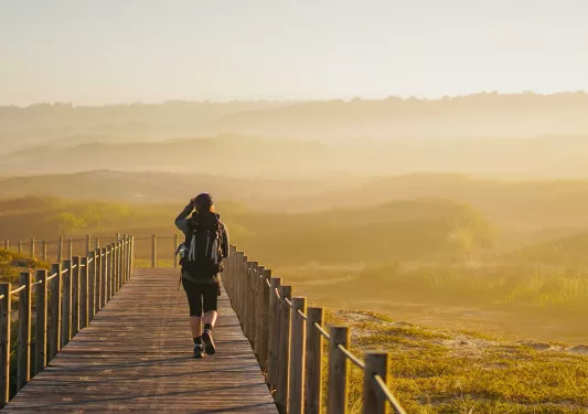Person walking on a wooden bridge, in the middle of an open, grass field covered with fog
