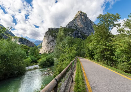 Road leading to mountains and trees