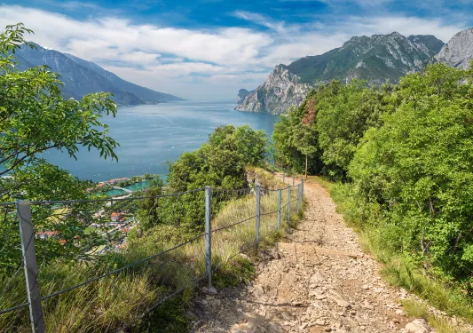 Descending dirt and gravel path surrounded by a fence and bushes