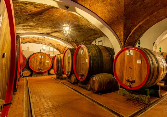 Wine cellar with large barrels in a brick-lined basement
