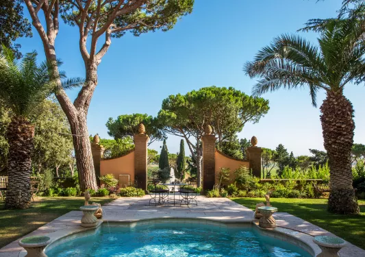 small pool surrounded by gate and trees
