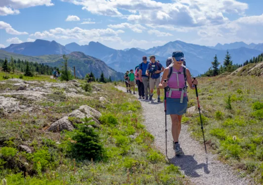 Group of hikers on a gravel trail, surrounded by bushes and plants, with tall mountains in the distance