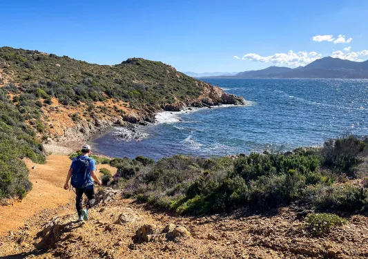 Man descending a dirt path towards a beach surrounded by trees