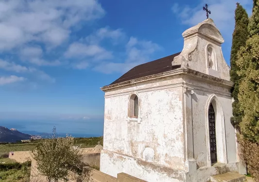 White church building in the middle of a grass field