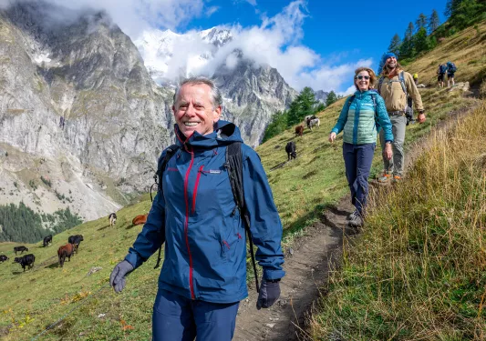 Man hiking down a dirt path, with a large mountain and cows on a grass field in the background