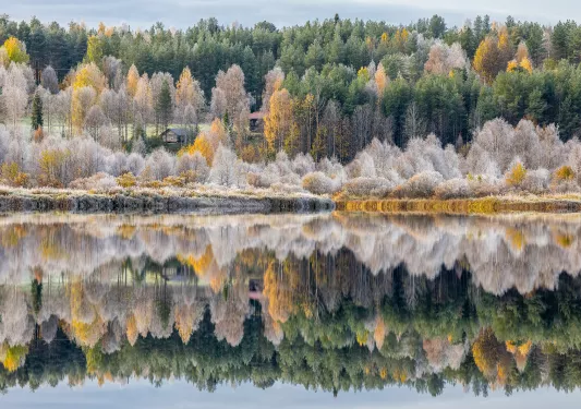 Lake surrounded by gray and orange trees with the reflection on the water