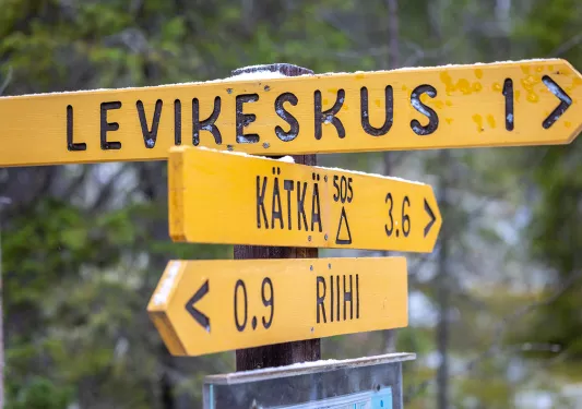 Yellow sing with three arrows pointing in different directions