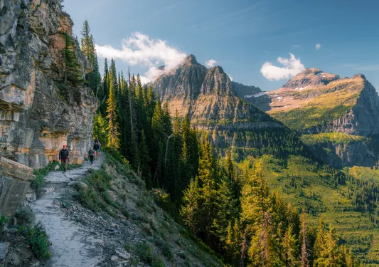 Hikers on a gravel trail with tall pine trees along tall mountains