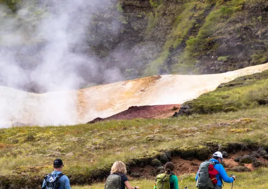 Four hikers with hiking sticks walking past a steaming geyser