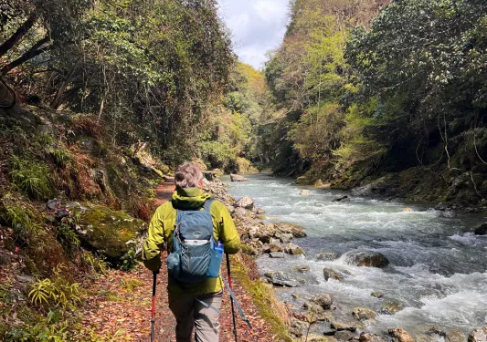 A hiker with poles walking by a river
