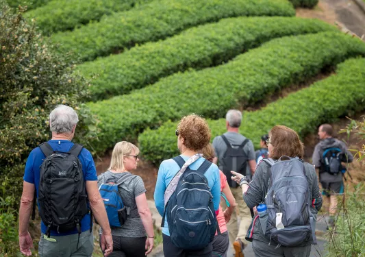 Group of people walking on an asphalt road next to fields of crops
