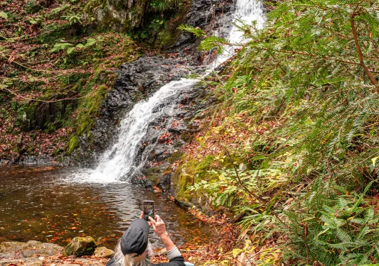 Person taking a photo on their cellphone of a small waterfall in a forest