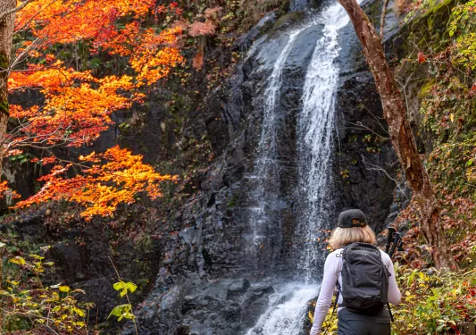 Woman hiking towards a small waterfall in the forest
