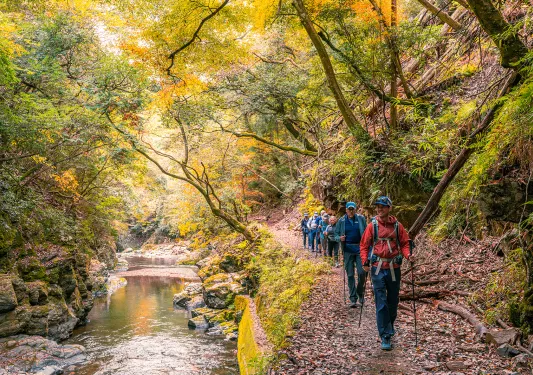 A line of hikers pass by a river