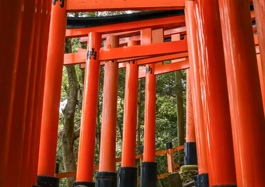Long path of red, Japanese archways with stairs in the middle