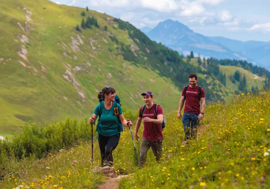 A woman and two men hiking in a field of flowers