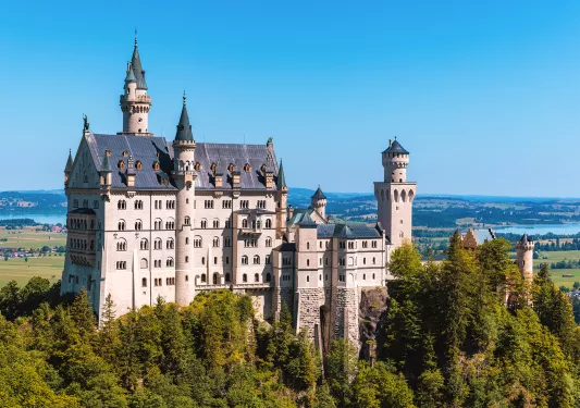Castle overlooking trees and buildings in the distance