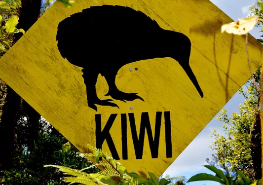 Yellow sign for a kiwi bird
