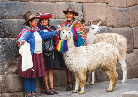 Three women with two alpacas on a leash