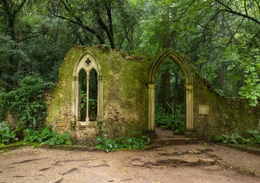 Ruins of a castle-like building in the middle of a forest